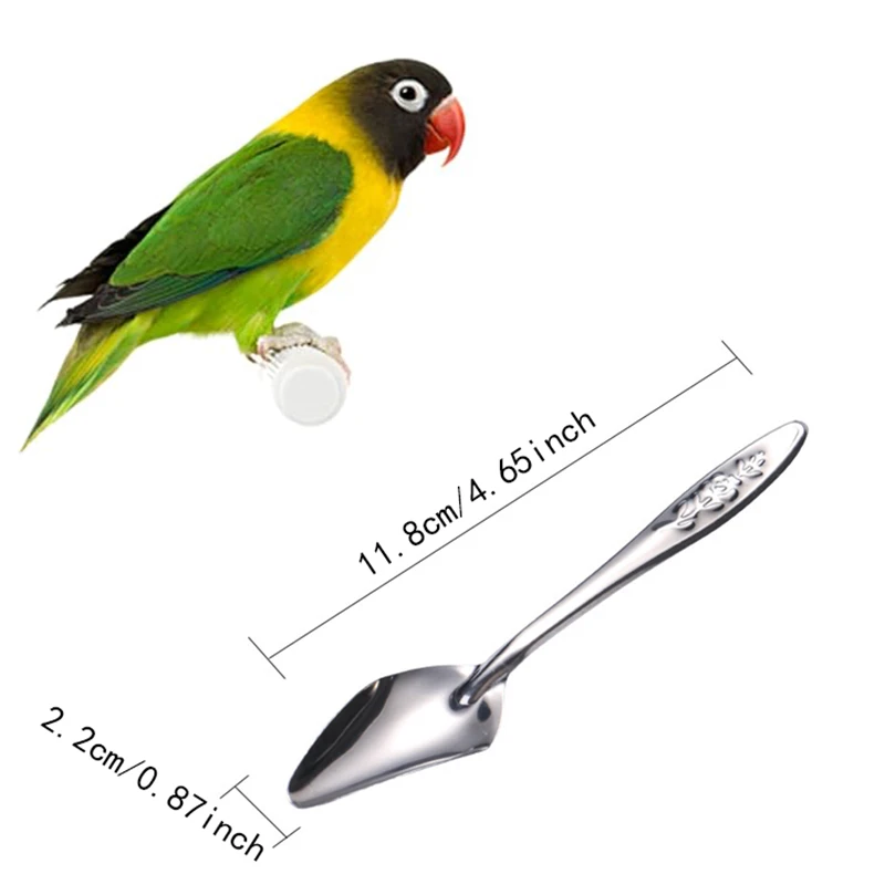Cuchara de alimentación de Metal de acero inoxidable para loros, comedero para pájaros, cucharas de alimentación manual, 5 uds. - imagen 2