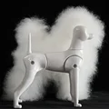 Teddy Model