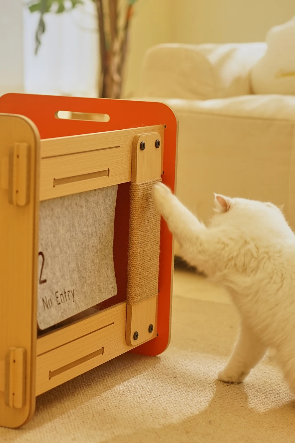 Marco de escalada para gatos de doble capa, árbol de coco, Cactus, juguete integrado, postes de rascado de Sisal resistentes al desgaste - imagen 3