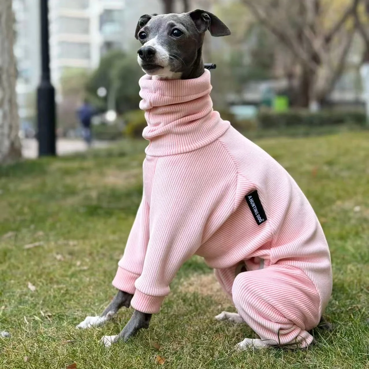 Chaqueta invierno perro forro polar ajustable Galgo Italiano Whippet - imagen 2