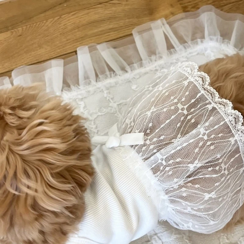 Faldas de encaje para perros, vestidos para mascotas, vestido de princesa, moda de verano, vestidos para perros, chaleco negro para perros, vestido para gatos, ropa para mascotas Chihuahua - imagen 3