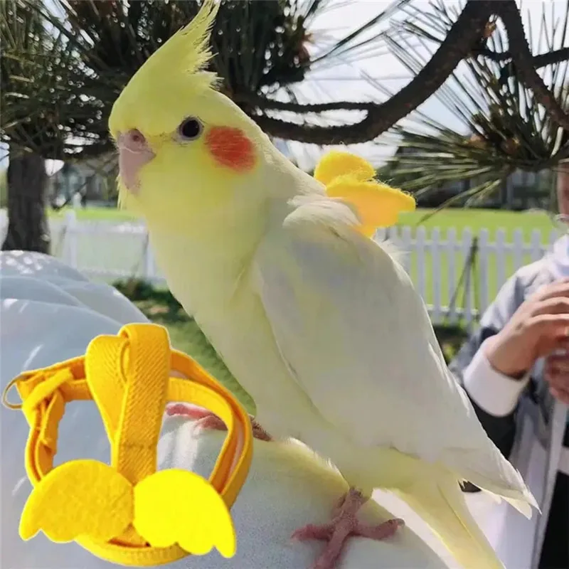 Arnés ajustable para loros y pájaros, conjunto de correa, arnés de entrenamiento antimordida, loros, cuerda voladora al aire libre, cacatúa, suministros para pájaros pequeños