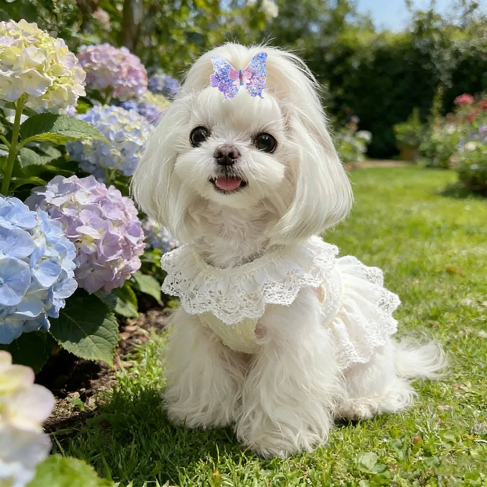 Lazos mariposa para perros y gatos – Accesorios de peluquería canina - imagen 4