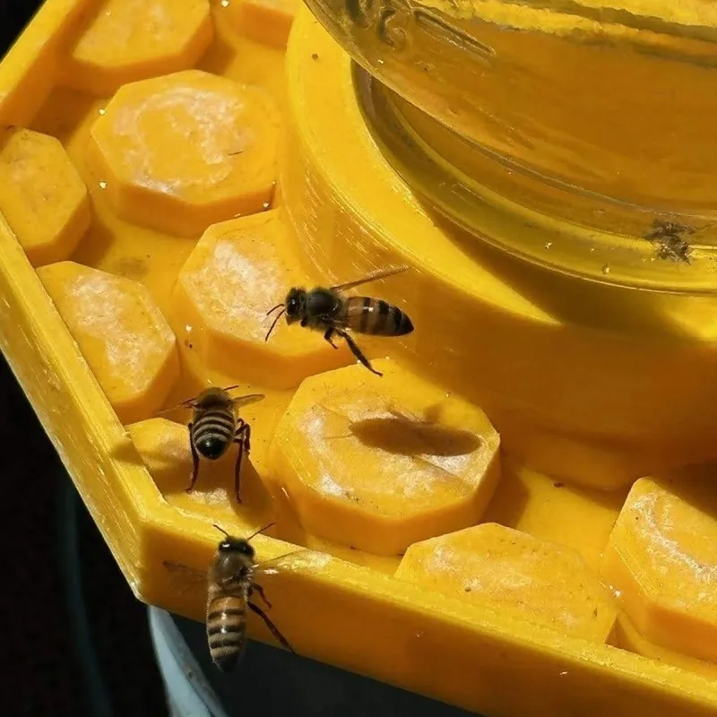 Bebedero de plástico seguro para abejas y mariposas – jardín y patio - imagen 4