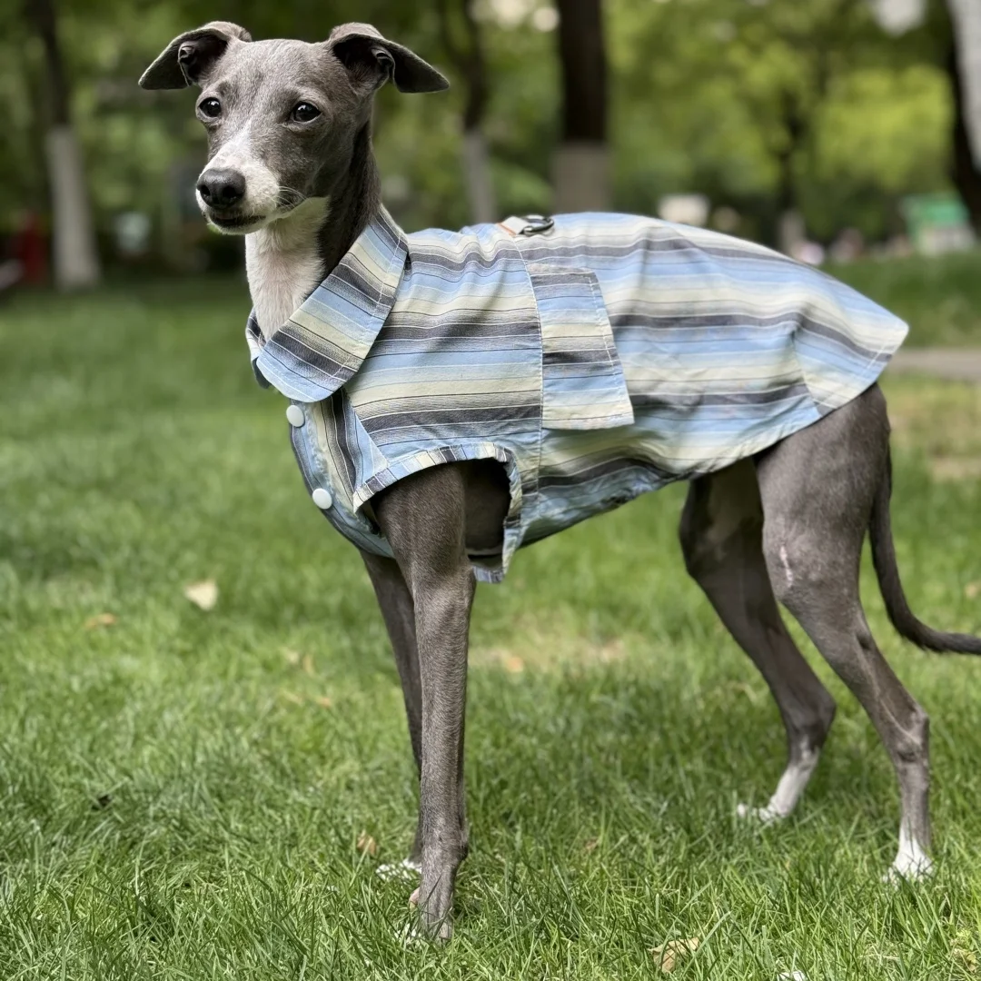 Camisa de rayas azules de protección solar para galgo italiano Abrigo verde sin mangas de fibra de seda de hielo para perros medianos Sombrero de verano para whippet