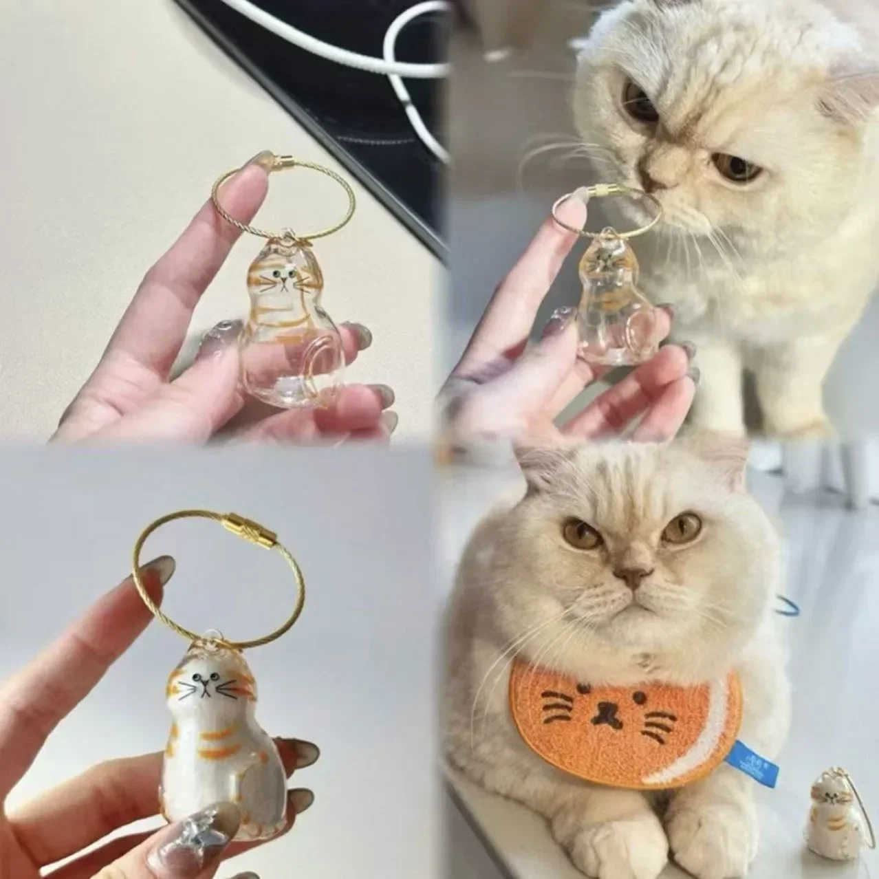 Botella conmemorativa pelo de gato especial – Regalo único dueño - imagen 4