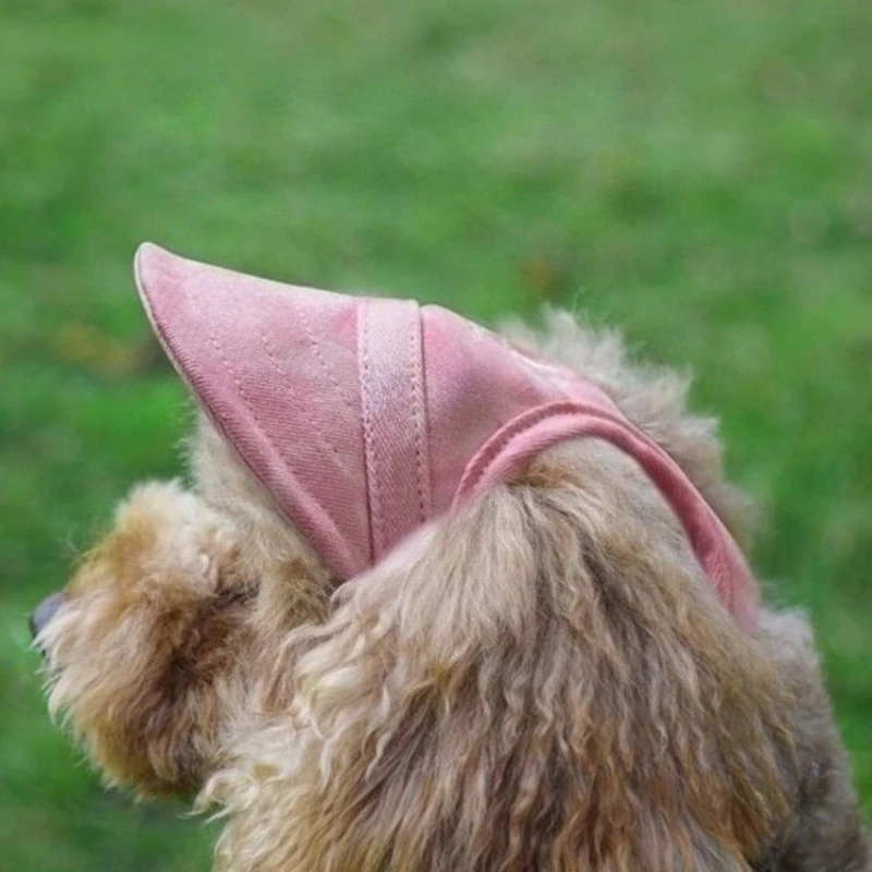 Sombrero para el sol para perros con orificios para las orejas, gorra de béisbol para mascotas para protección solar, visera de viaje al aire libre para mascotas lindas, accesorio deportivo de verano - imagen 4