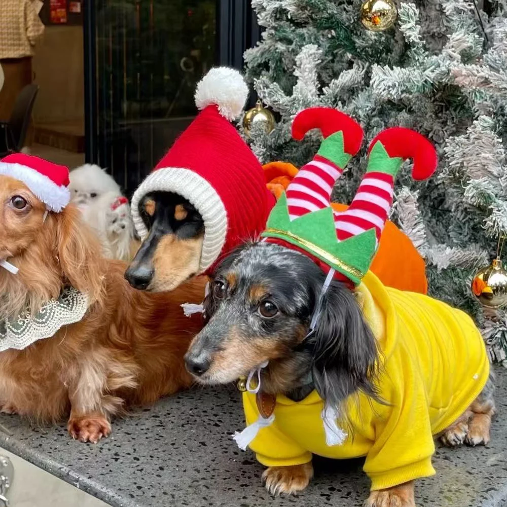 Wiener Dogs Año nuevo Navidad sombrero rojo invierno cálido jersey tejido a mano para perros salchicha lindo sombrero de vacaciones para perros tejón - imagen 5