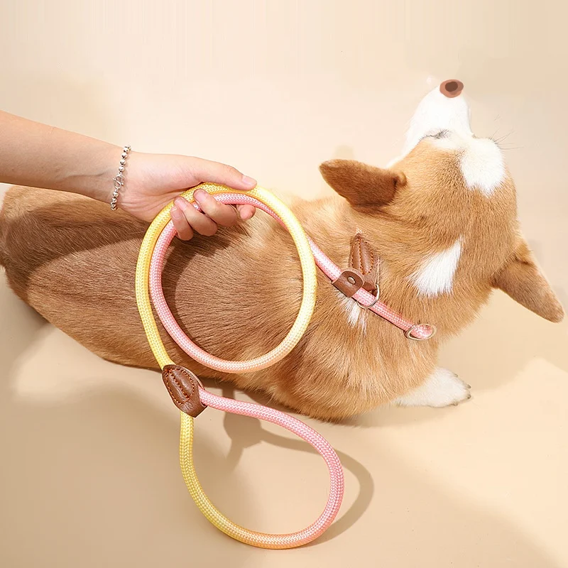 Correa ajustable anti-tirón para perros, cuerda de nailon reflectante para correr al aire libre, caminar, playa y hacer senderismo, ajuste seguro para cachorros - imagen 4