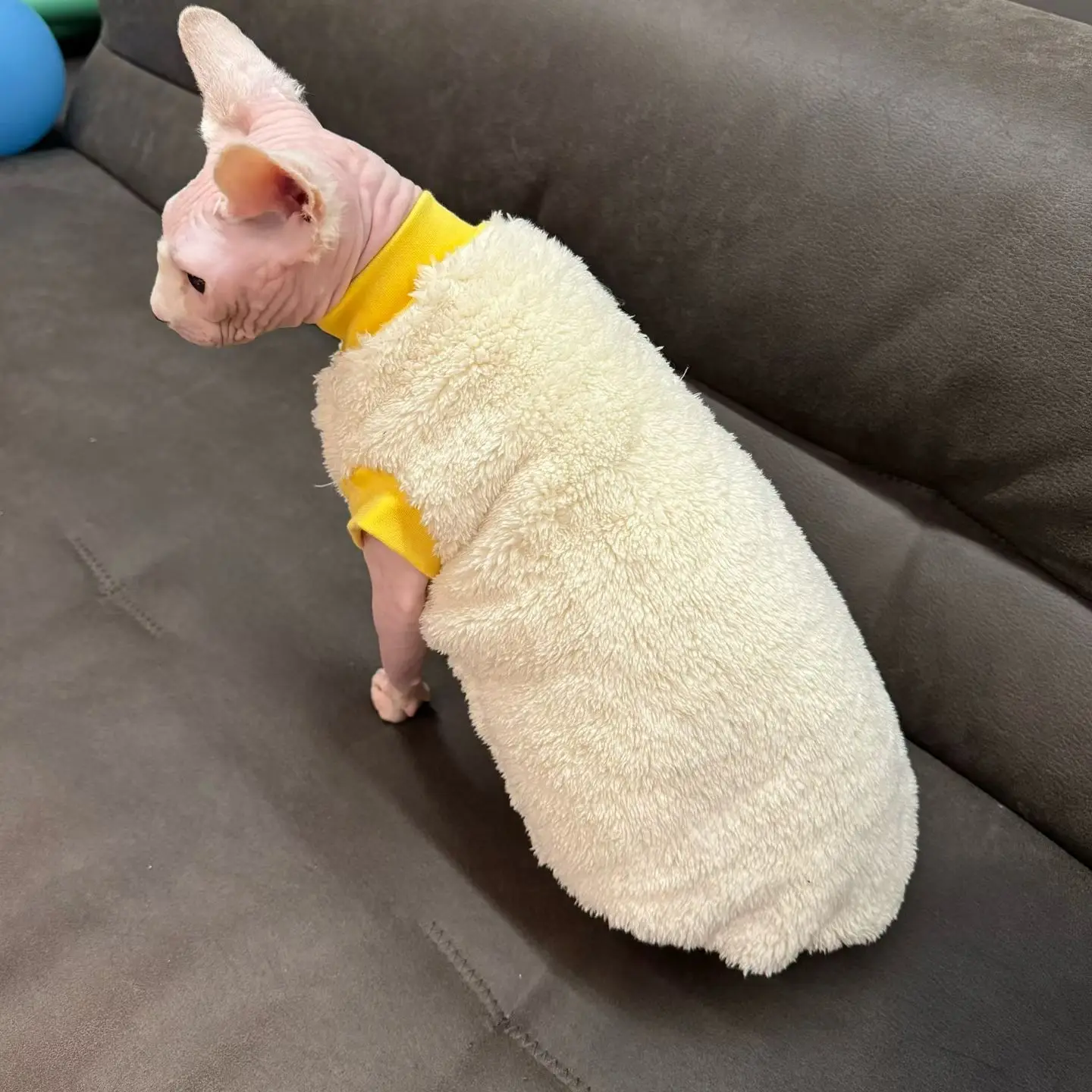 Sudadera polar invierno para gato Sphynx y Devon Rex sin pelo - imagen 3