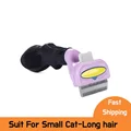Cat S-long hair
