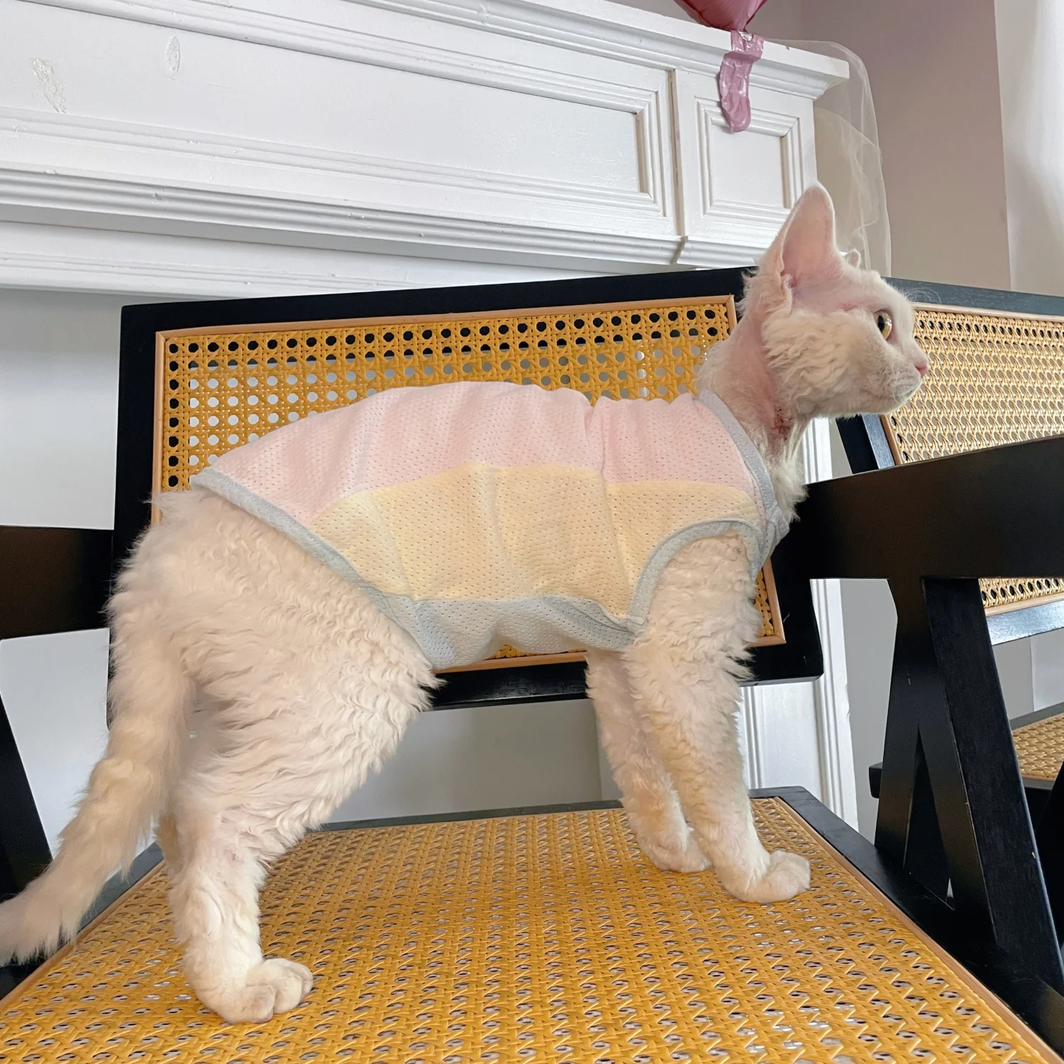 Ropa para gatos, chaleco de malla de algodón con peso ligero para gato Sphnx, camiseta de manga corta para gatitos en verano, abrigo fino Devon Rex - imagen 4