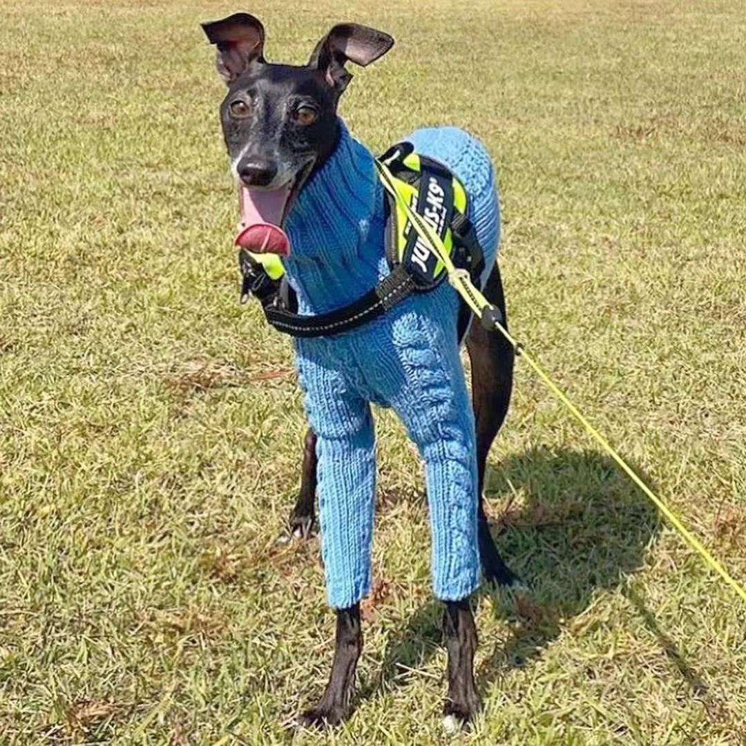 Suéter de punto torcido de cuello alto para perros, Galgo Italiano de Whippet, abrigo cálido para perros, ropa de invierno para perros - imagen 3