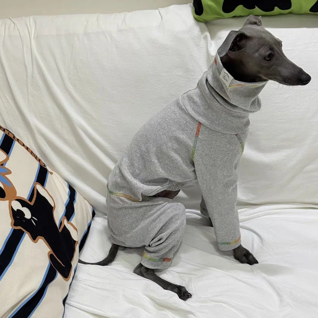 Mono algodón gris cuello alto para galgo y whippet – primavera otoño - imagen 2