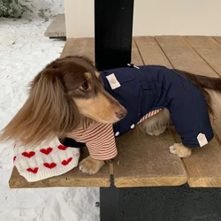 Pantalón vaquero azul para dachshund cómodo y estiloso
