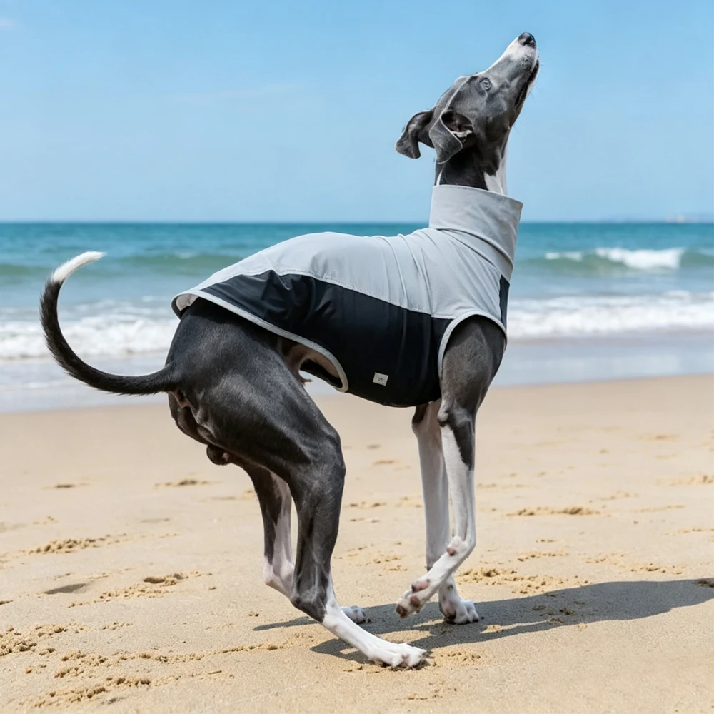 Chaleco para perros de verano: tela fresca, secado rápido y protección solar - imagen 3