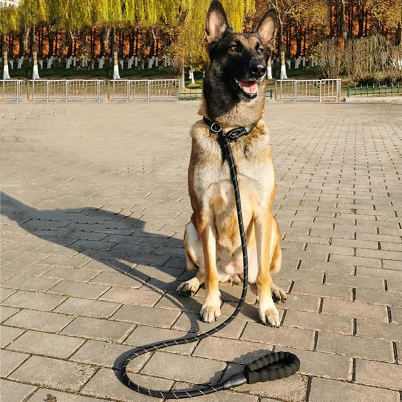 Almohadilla reflectante para perros grandes, correa para entrenamiento, caminar, cadena P para perros medianos y grandes, correas Malinois Collie, accesorios para mascotas - imagen 5