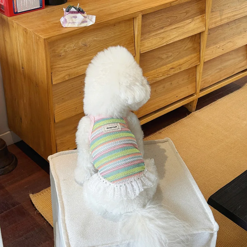 Chaleco a rayas de arcoíris para mascotas, falda con tirantes tejida hueca transpirable para gatos, vestido de encaje, vestidos para perros pequeños, primavera - imagen 3