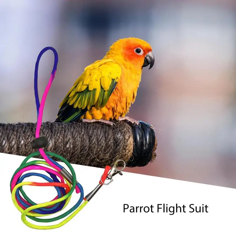Pañal de loro para mascotas, traje de vuelo lavable, lindo, colorido, cacatúa, palomas, pequeño, mediano, grande - imagen 4