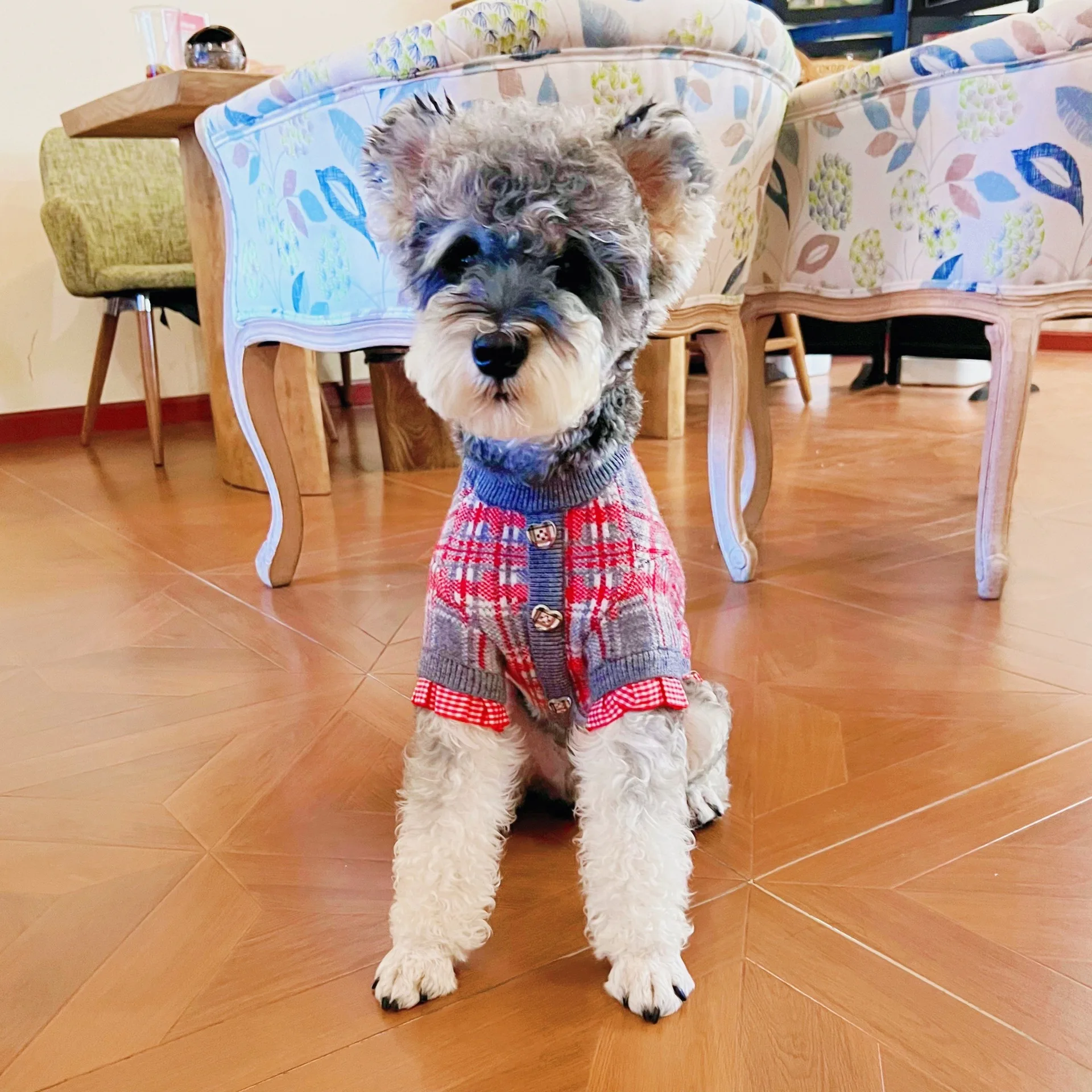Camisa de suéter a cuadros para mascotas para calidez de otoño e invierno, abrigo de peluche Schnauzer para gatos, ropa para perros pequeños, ropa para cachorros - imagen 4