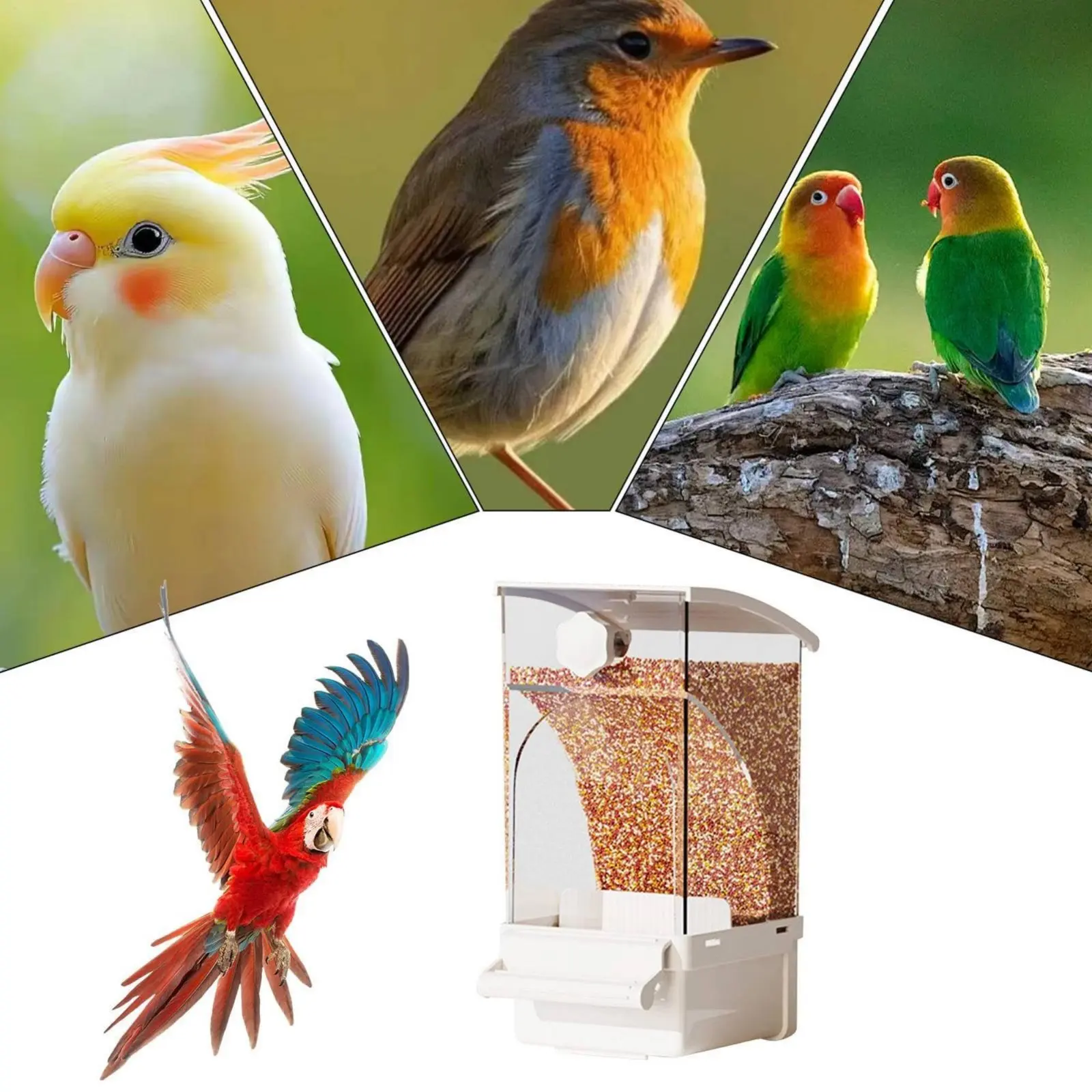 Comedero automático para aves con separador de cáscaras - imagen 4