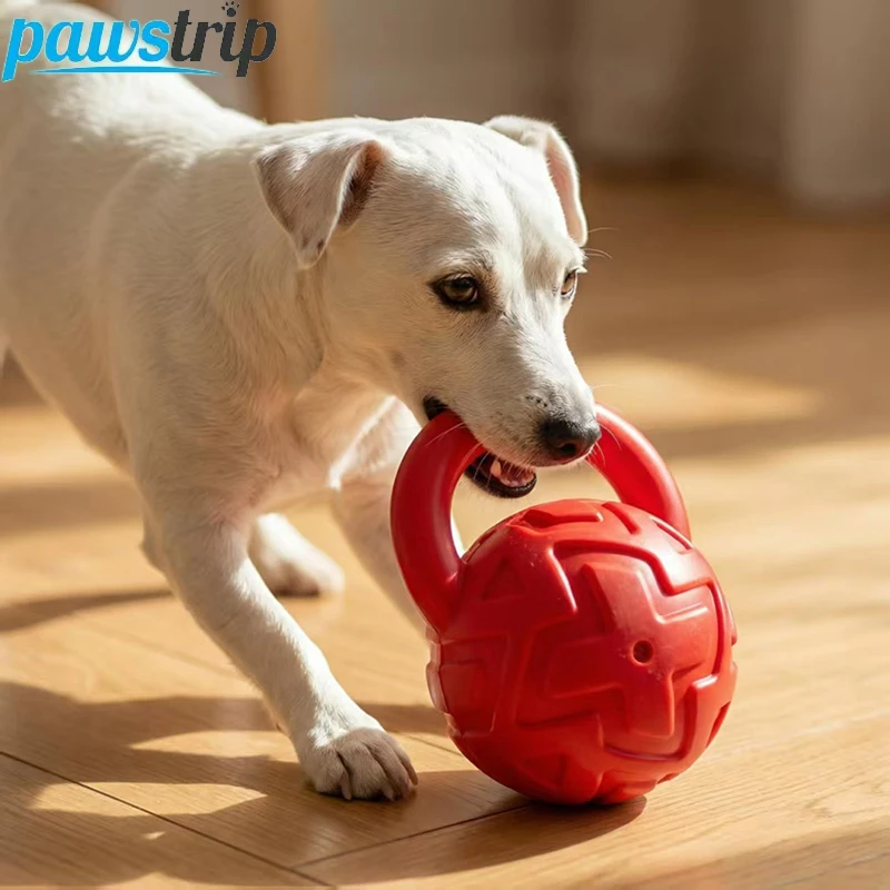 Juguete chirriante para perros pequeños y medianos – Masticable - imagen 5