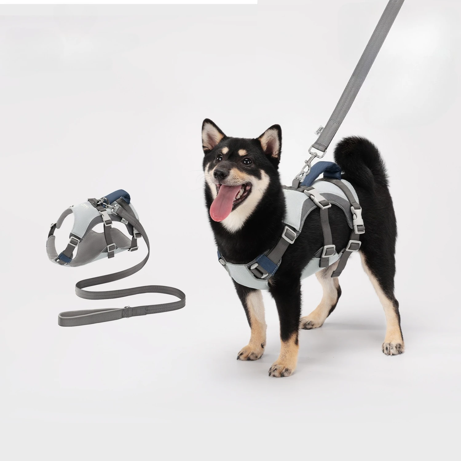 Arnés anti-tirones para perros con correa – Ligero y transpirable - imagen 5