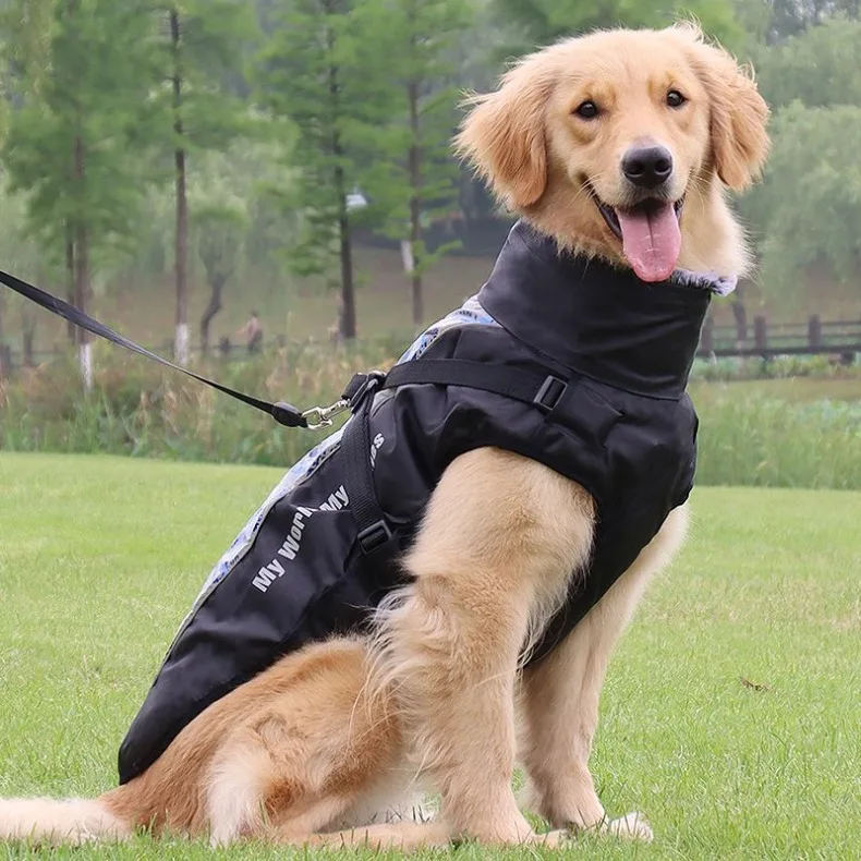 Vista frontal de la chaqueta para perros LZJV