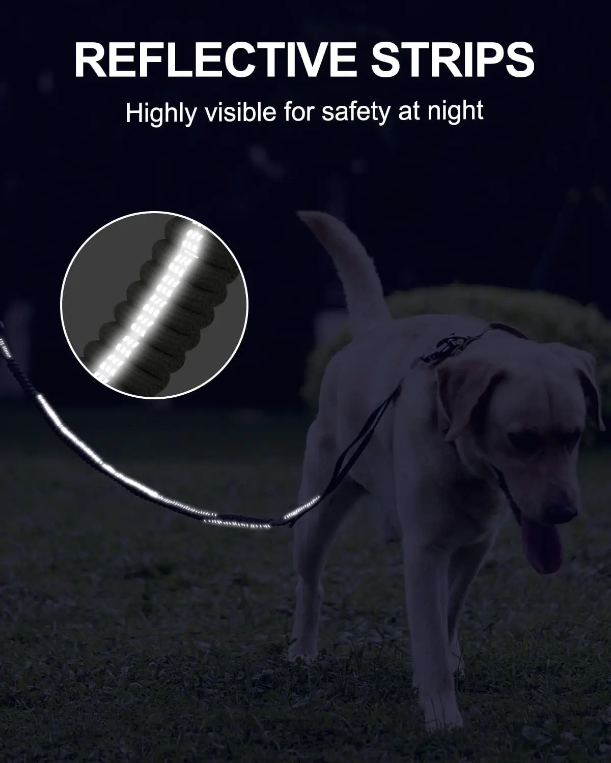 Clip metálico tipo rana de la correa táctica para perros