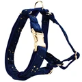 Harness