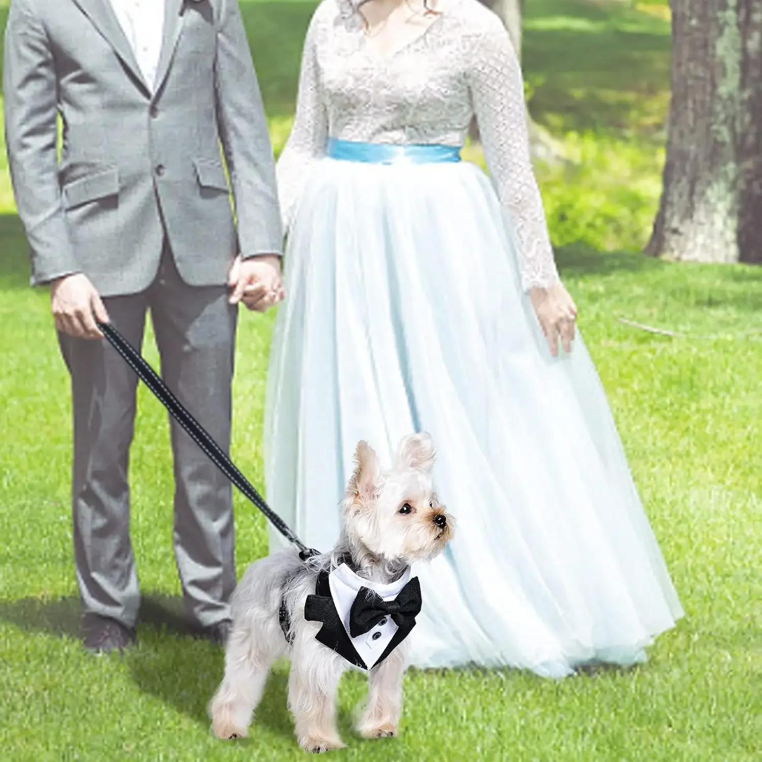 Arnés para fumar para perros de caballero, traje de boda y cumpleaños para mascotas, disfraz Formal, chaleco de malla con pajarita para perros pequeños y medianos - imagen 4