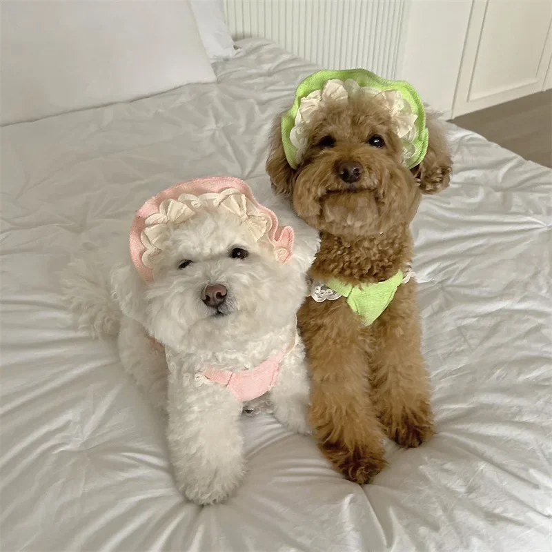 Ropa de diseño para mascotas, camisola, chaleco, gato pequeño y mediano, ropa con lazo de encaje para primavera y verano, conjunto de 2 piezas, sombrero de encaje, vestidos para cachorros - imagen 2