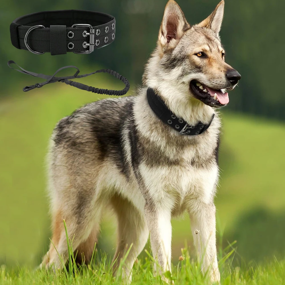 Collar y correa tácticos para perros con mango, collares militares ajustables con hebilla de Metal resistente, entrenamiento de nailon suave para perros - imagen 4