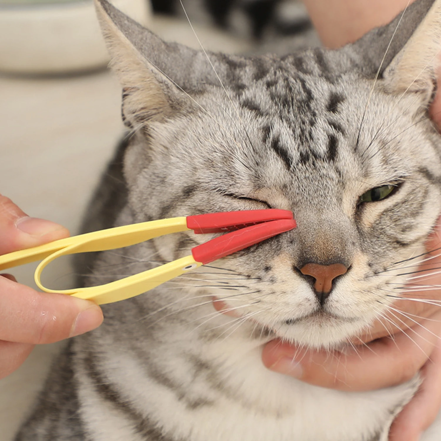 Cepillo de silicona suave para gatos y perros, peines para limpieza de ojos, removedor de excrementos, Clip limpiador, suministros para mascotas, productos para perros y gatos, 1 ud. - imagen 3