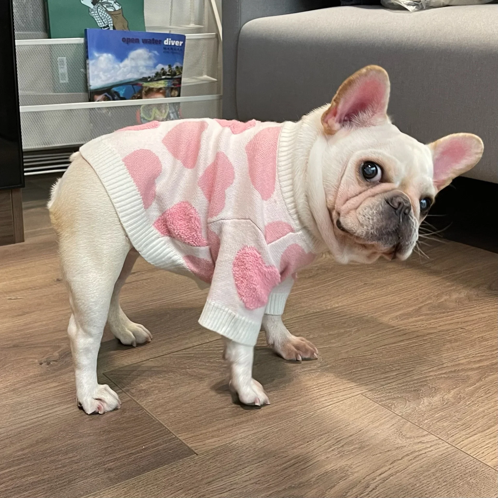 Suéter rosa para mascotas, ropa para perro, gato, amor, Ley, Lucha, peluche, Schnauzer, Red, cachorro rojo, Otoño e Invierno - imagen 3