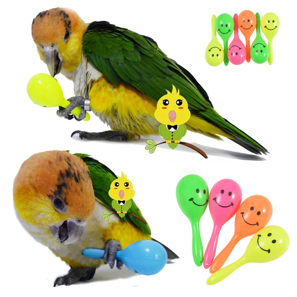 Sonajero de loro, martillo de arena, Bola de arena, mordeduras de pájaro, sabiduría, juguetes de entrenamiento interactivos, accesorios para mascotas, 3 uds. - imagen 2