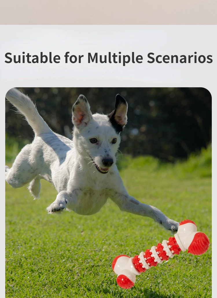 Un perro blanco que juega con un rojo y un juguete