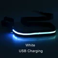 white USBCharging