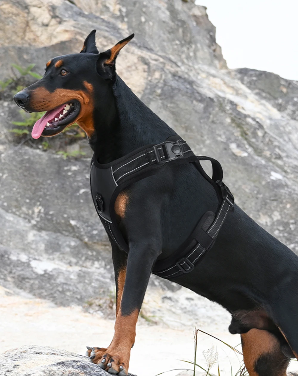 Weimaraner-arnés para perros grandes con mango, chaleco duradero para mascotas, sin tirones, a la moda, para perros pequeños, medianos y grandes, Doberman, Pinscher - imagen 4