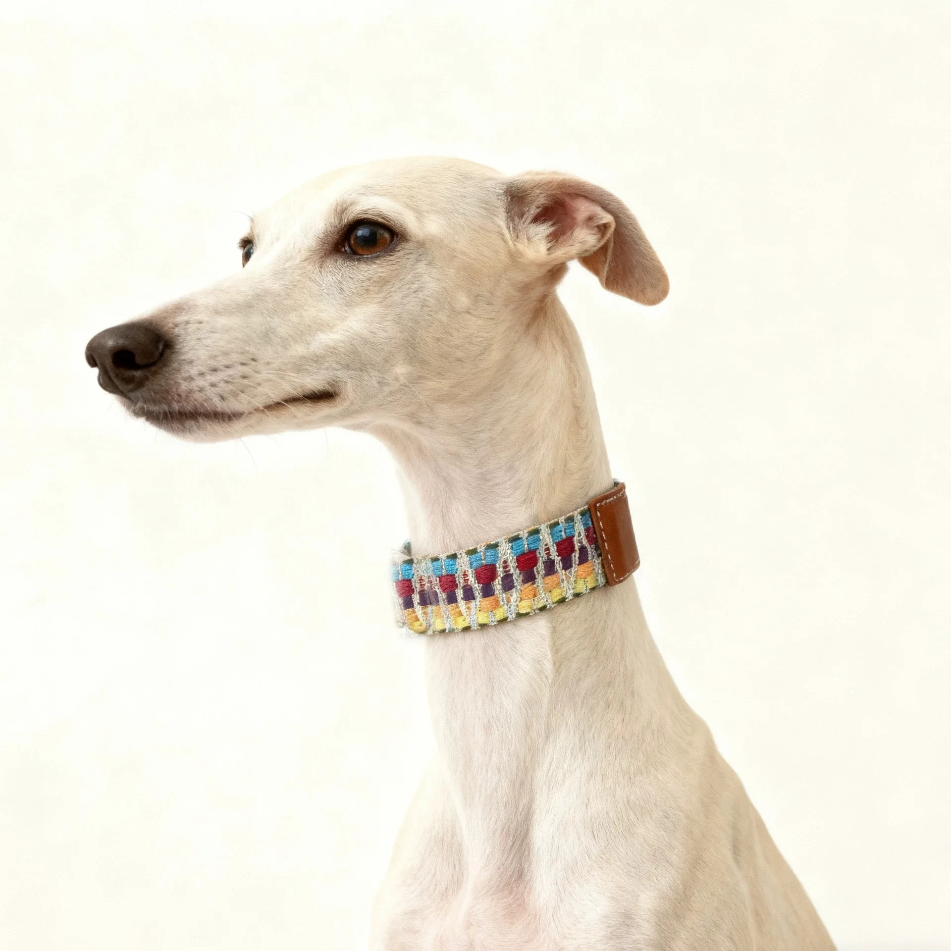 Pack collar y correa de cuero para perro – Resistentes - imagen 3