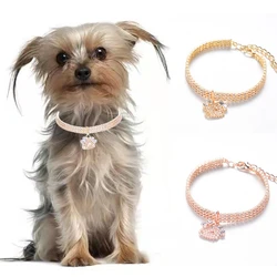 Collar paw para Yorkshire Terrier y gatos - Oro rosa ajustable