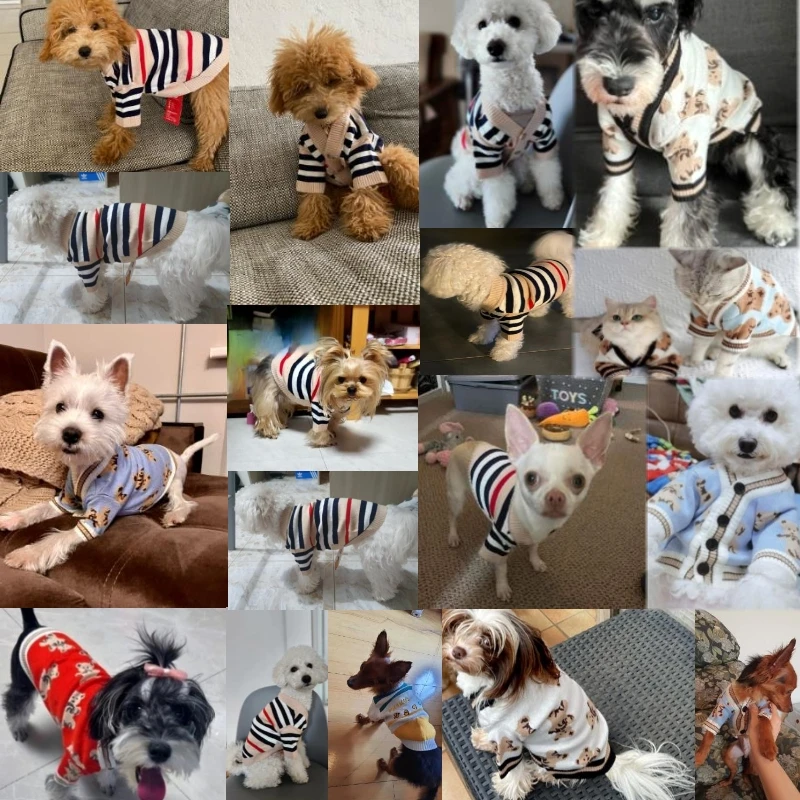 Ropa de invierno para perros Chihuahua, cárdigan suave a rayas para cachorros y gatitos, suéter de punto cálido, abrigo, ropa de moda para perros y gatos - imagen 2