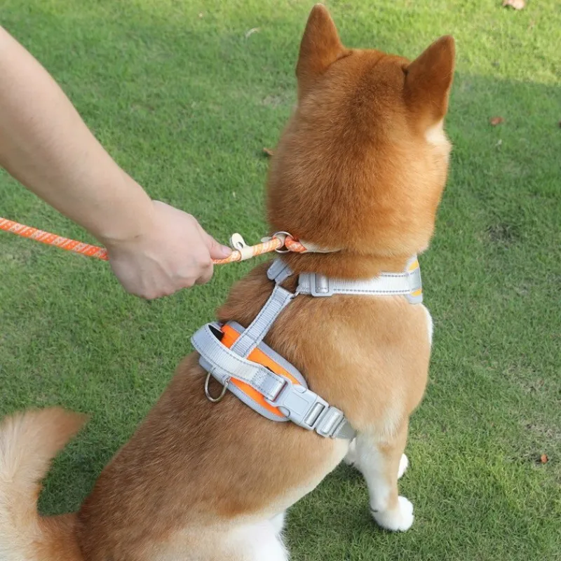 Correa antipérdida para perros, Collar de entrenamiento para cachorros, suministros para mascotas - imagen 3