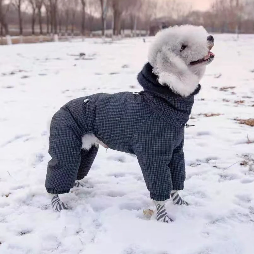 Abrigo invierno perro Bedlington cálido cortavientos impermeable - imagen 2