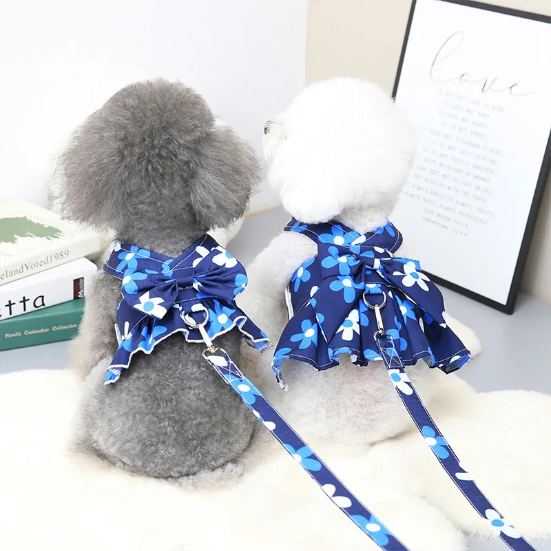 Ropa de moda para perros pequeños, vestido de princesa para primavera y verano, disfraz de peluche para cachorros, Incluye correa para perros, 2022 - imagen 3