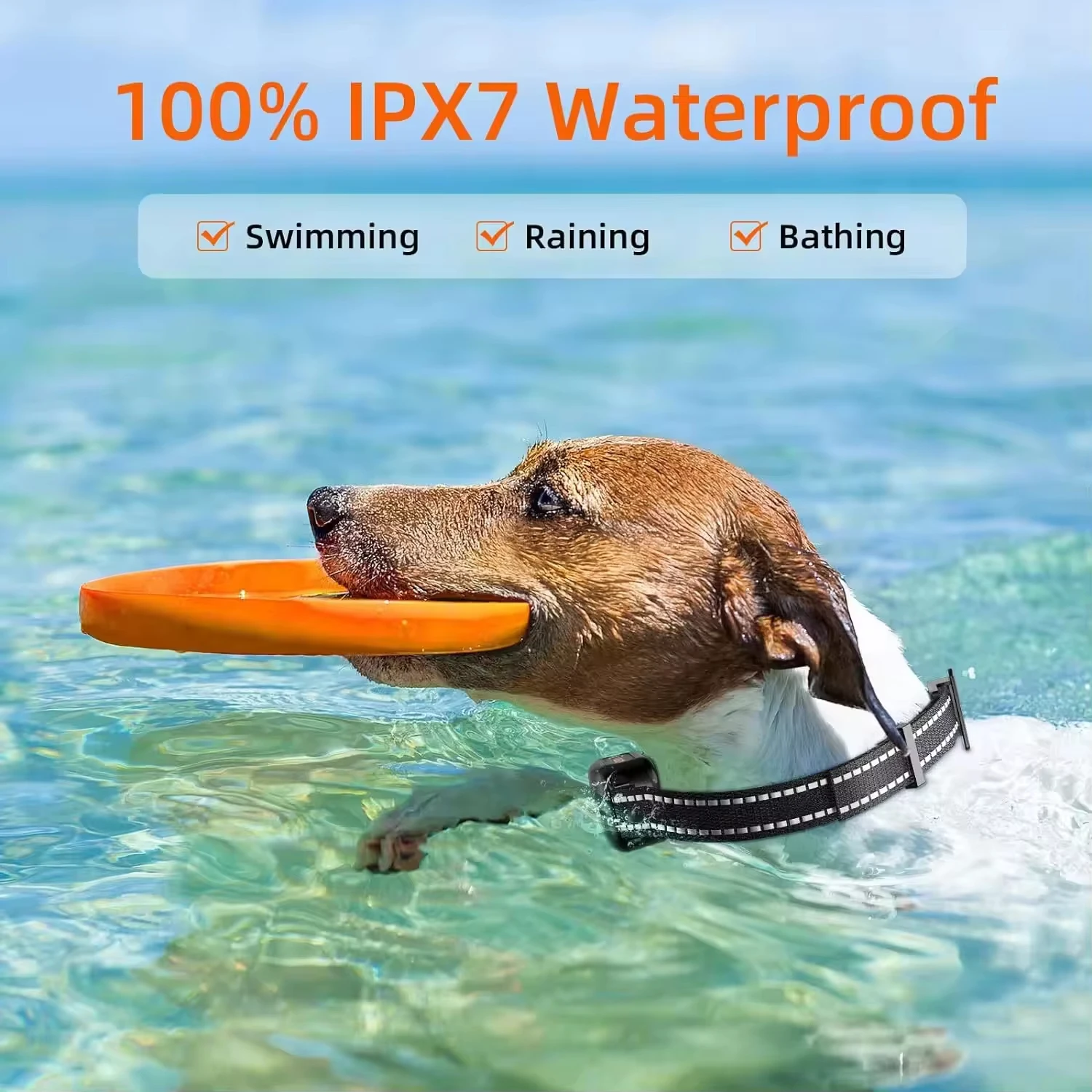 Paipaitek Collar de entrenamiento para perros de 1000M, Collar eléctrico impermeable para perros de todos los tamaños, Collar antiladridos recargable para entrenamiento de perros - imagen 4