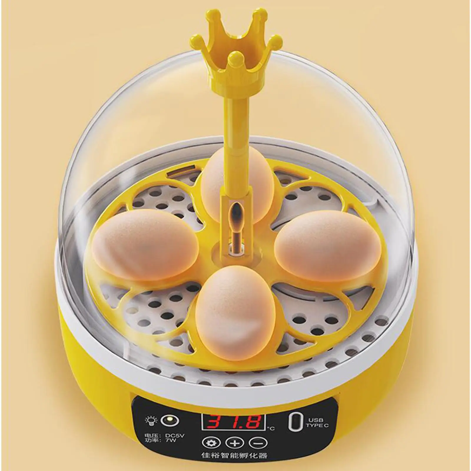 Smart Egg Incubator Science and Education Clear Top Cover Egg Hatcher Digital Poultry Poultry Hatcher Egg Hatching for Quail