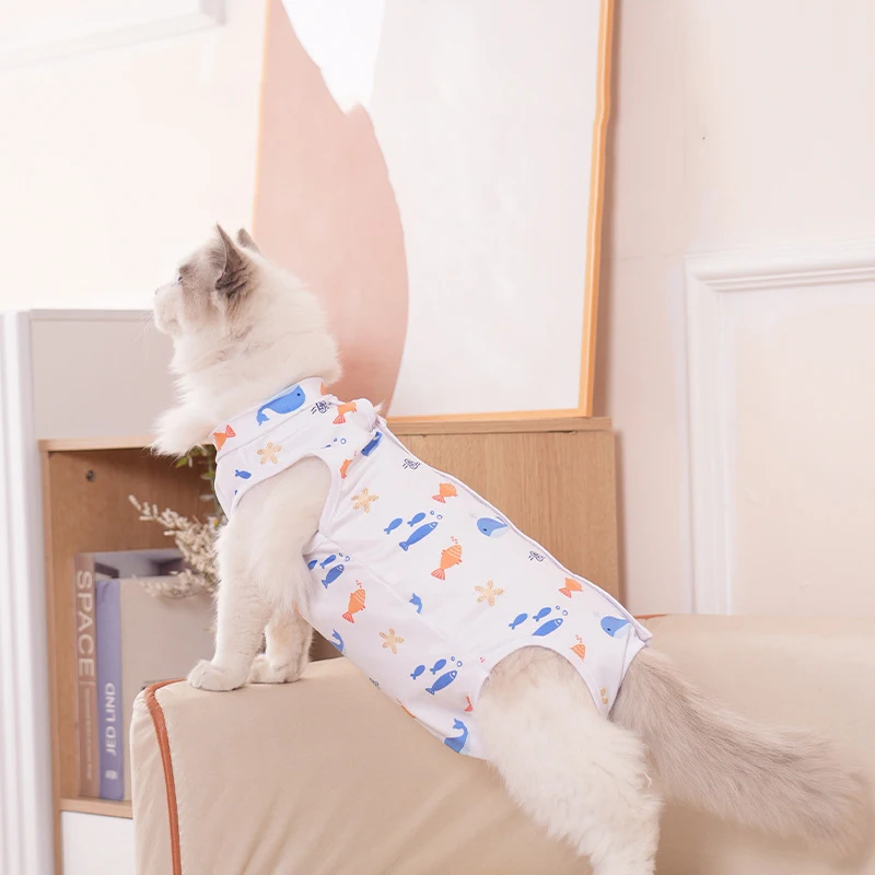 Traje recuperación cirugía antilamer para gatos y perros - imagen 3