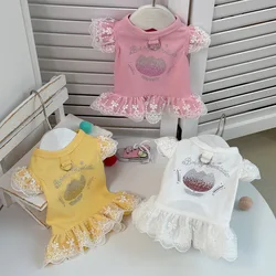 Vestido de encaje para perros pequeños - estilo princesa oso