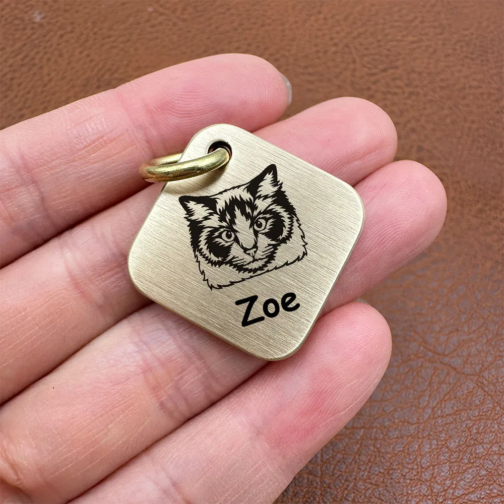 Etiqueta antipérdida de latón personalizable para perro y gato - imagen 3